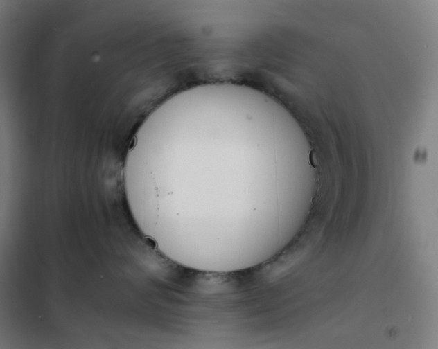 X0000101680624200807241347