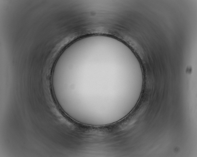 X0000101680625200807241346