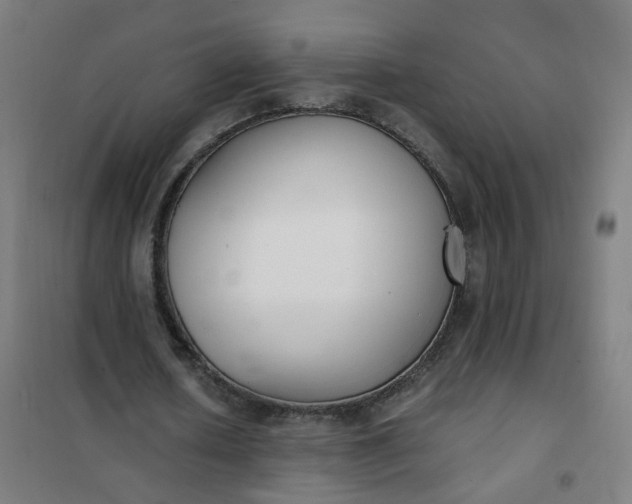 X0000101680626200807241346