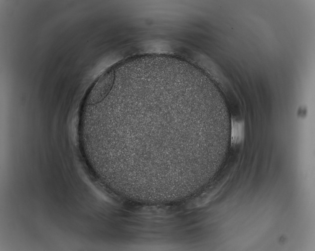 X0000101680627200807241346