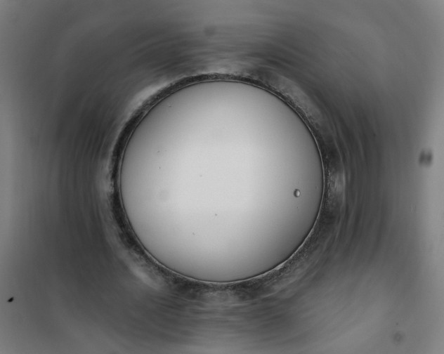 X0000101680628200807241346