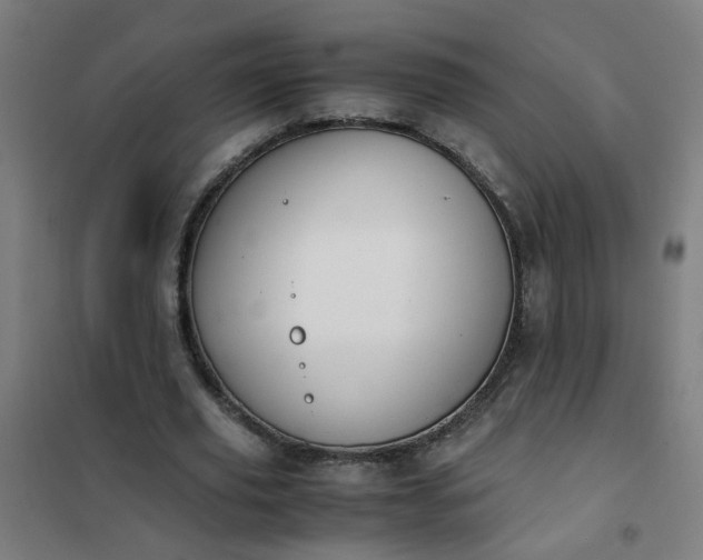 X0000101680629200807241346