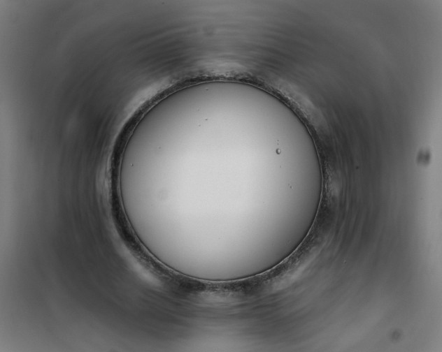 X0000101680630200807241346