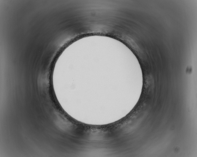 X0000101680632200807241346