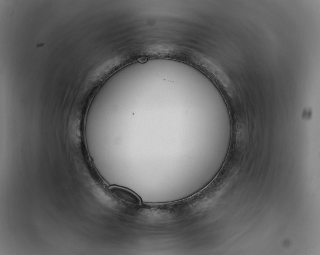 X0000101680633200807241346