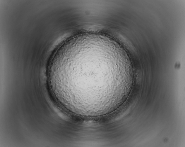 X0000101680634200807241346