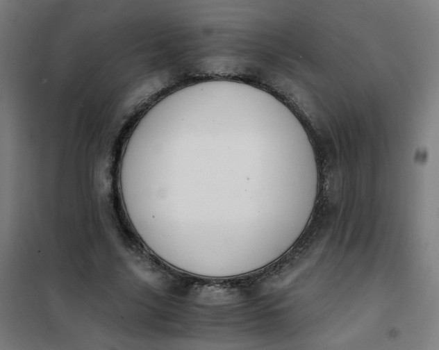 X0000101680635200807241346