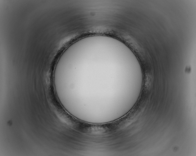 X0000101680636200807241346