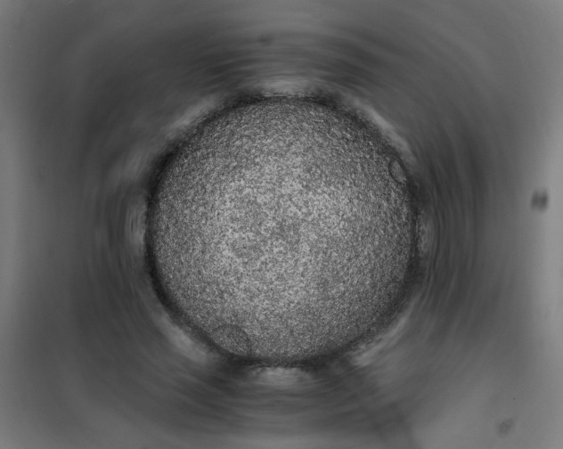 X0000101680637200807241346