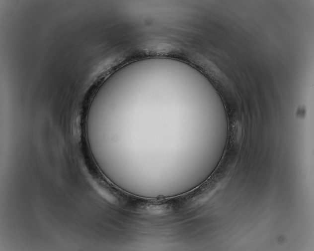 X0000101680638200807241346