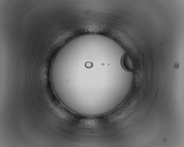 X0000101680639200807241346