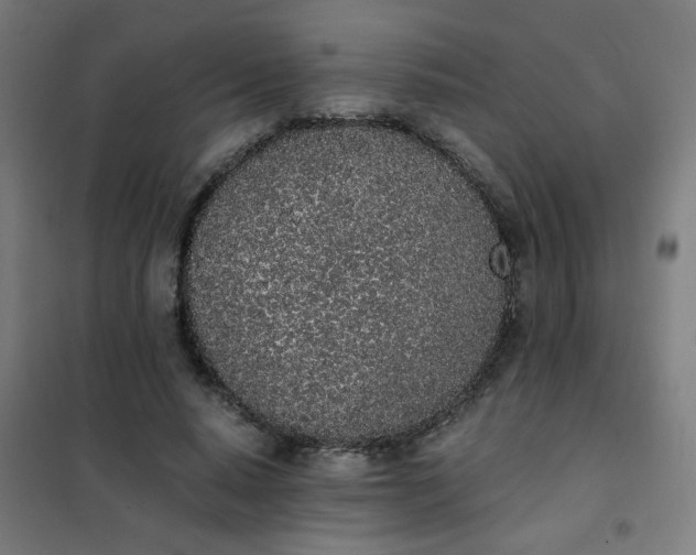 X0000101680640200807241346