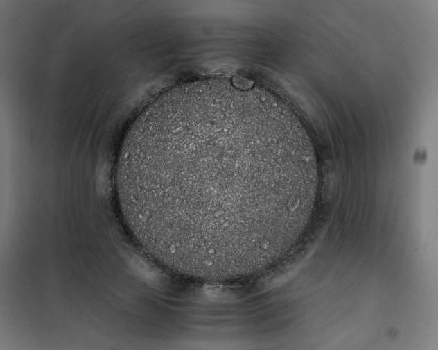 X0000101680641200807241346