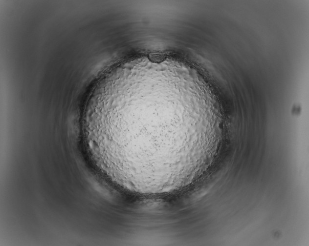 X0000101680642200807241346