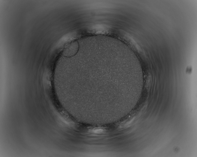 X0000101680643200807241346