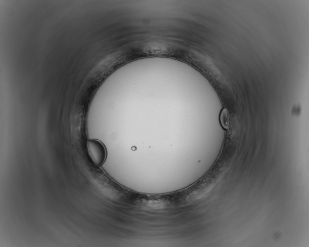 X0000101680645200807241347