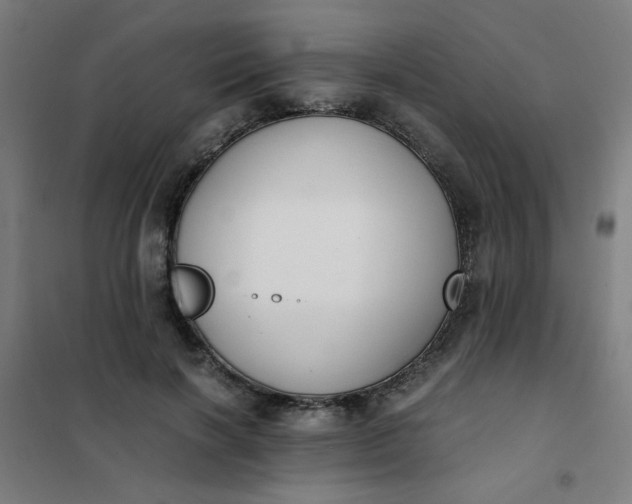 X0000101680646200807241347