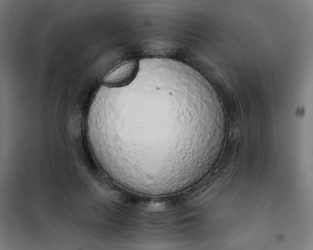 X0000101680647200807241347