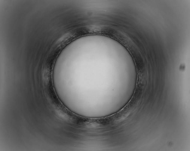 X0000101680648200807241347