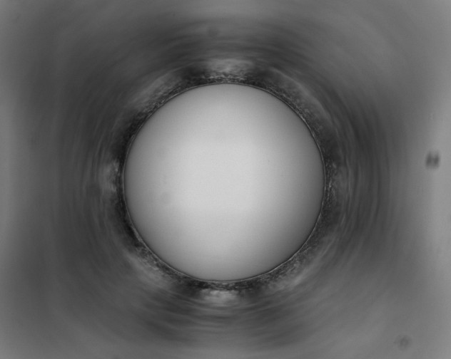 X0000101680649200807241347