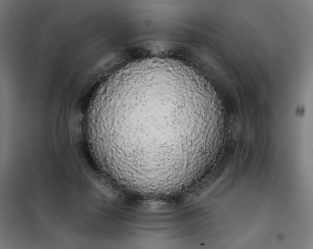 X0000101680650200807241347