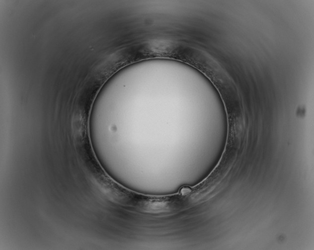 X0000101680651200807241347