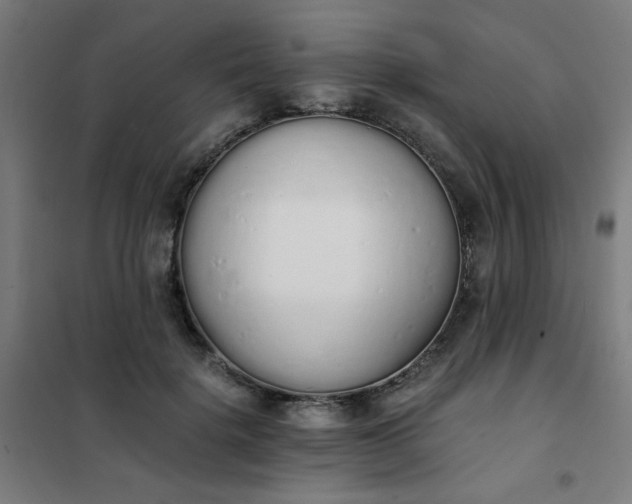 X0000101680652200807241347