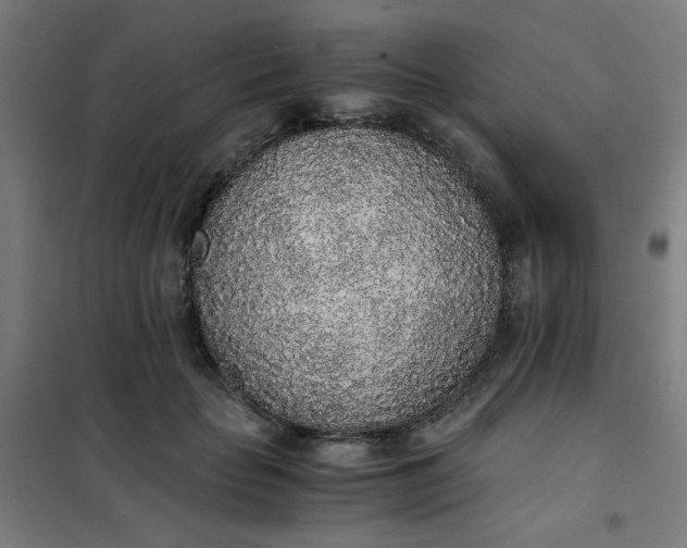 X0000101680653200807241347