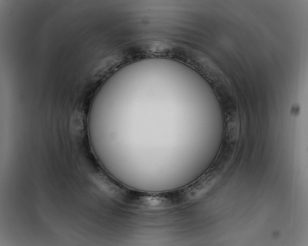 X0000101680654200807241347