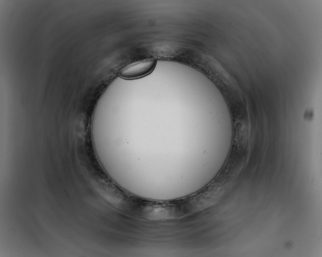 X0000101680655200807241347