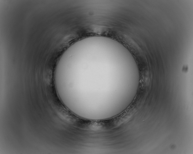 X0000101680656200807241347