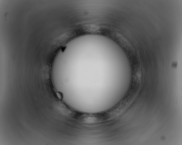 X0000101680658200807241347