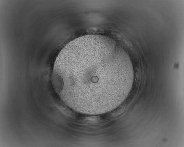 X0000101680659200807241347