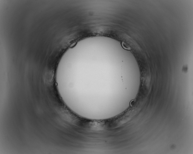 X0000101680660200807241347