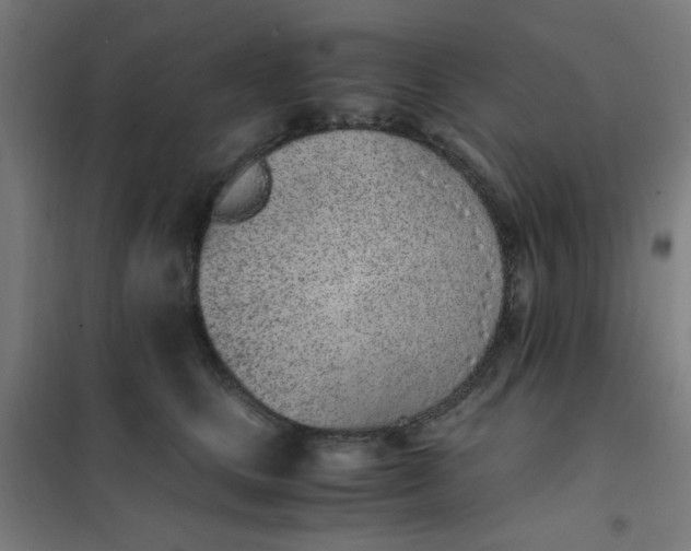 X0000101680661200807241347