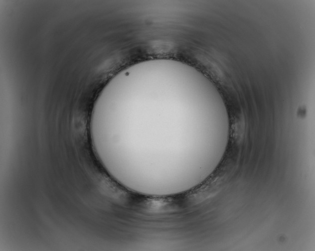 X0000101680662200807241347