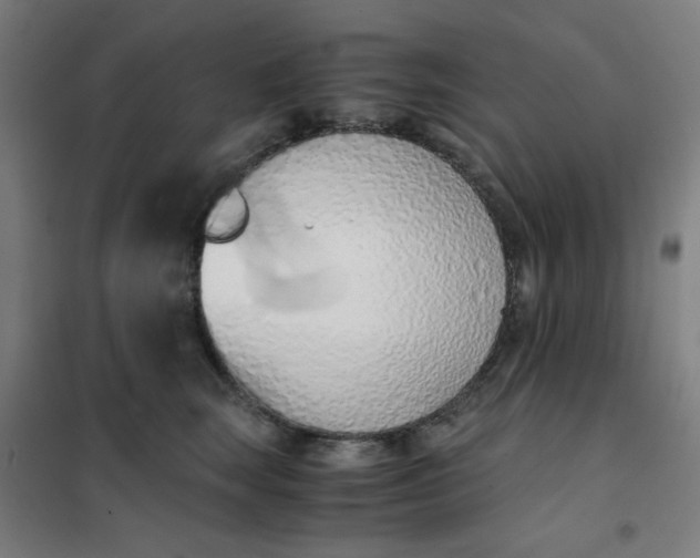 X0000101680663200807241347