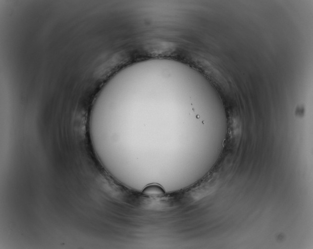 X0000101680664200807241347