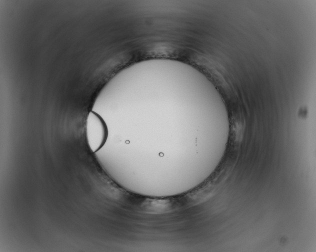 X0000101680665200807241347