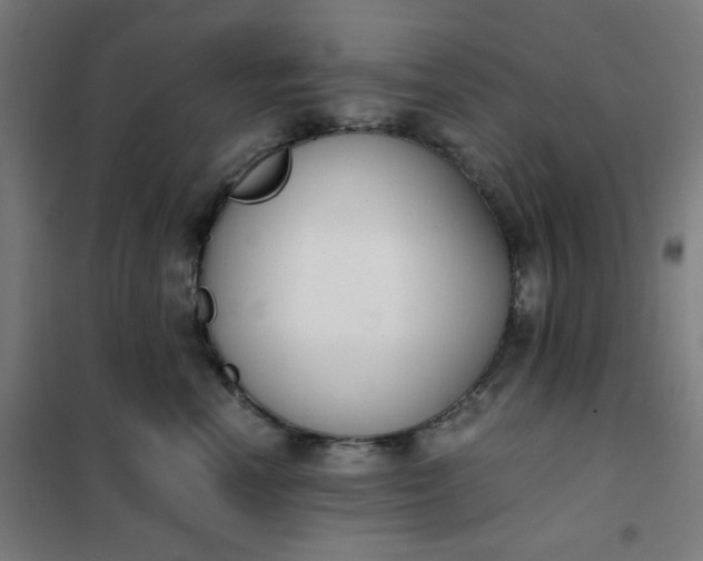 X0000101680666200807241347