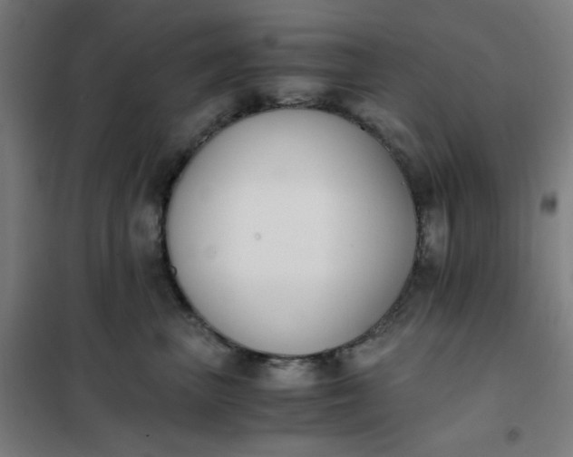 X0000101680667200807241347