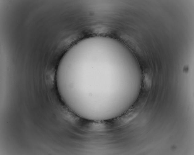 X0000101680668200807241347