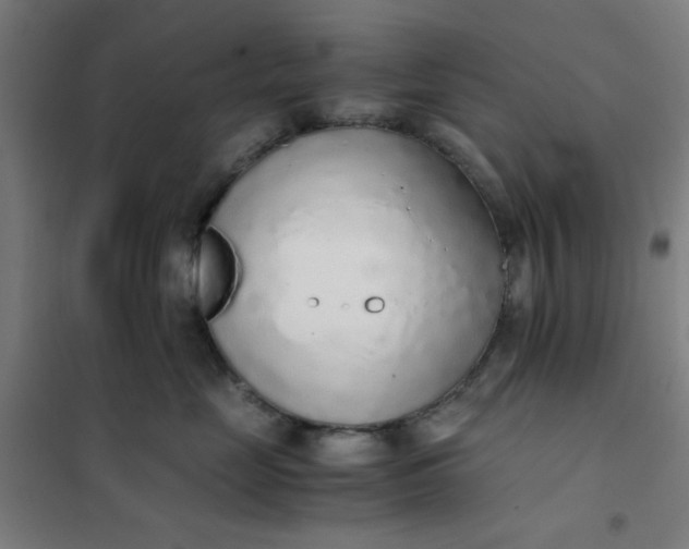 X0000101680669200807241347