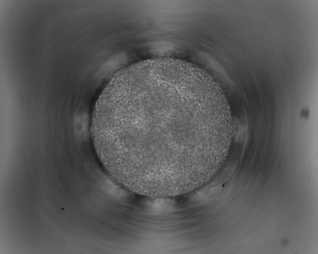 X0000101680670200807241347