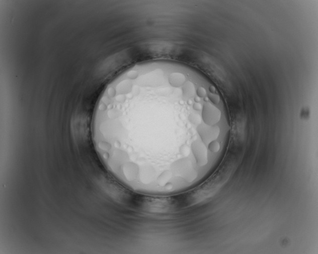 X0000101680671200807241347