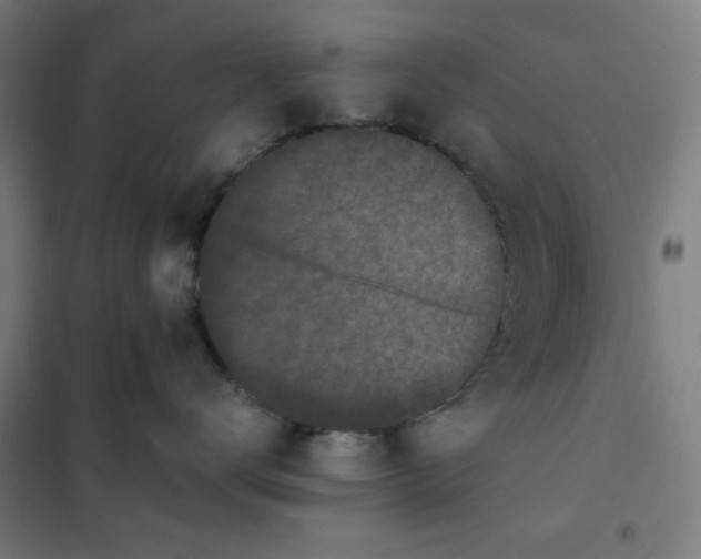 X0000101680672200807241347