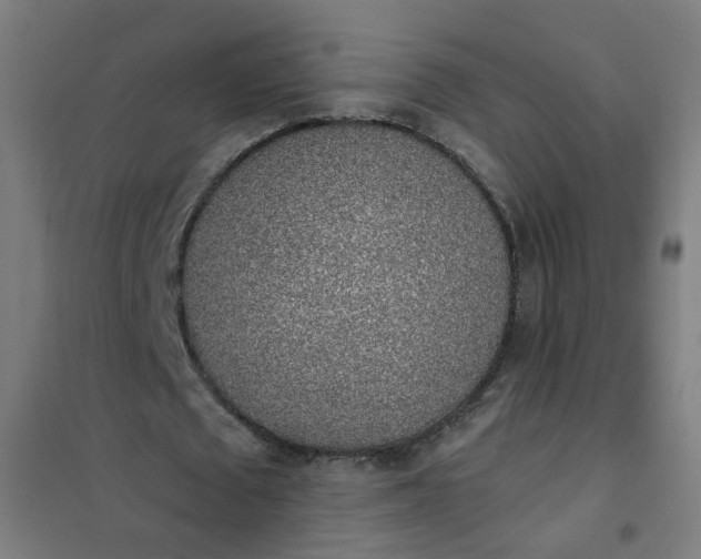 X0000101680673200807241346