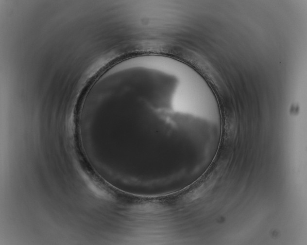 X0000101680674200807241346