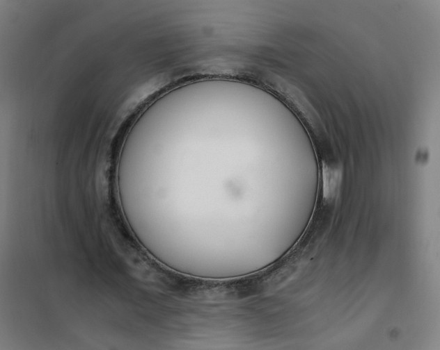 X0000101680675200807241346