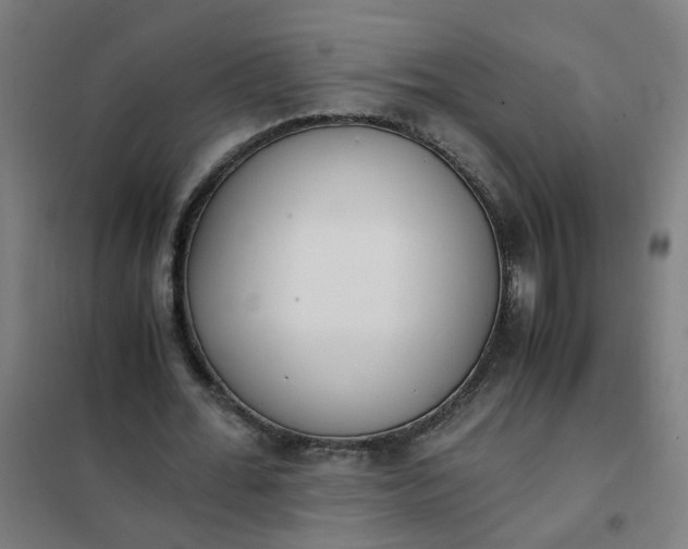 X0000101680676200807241346